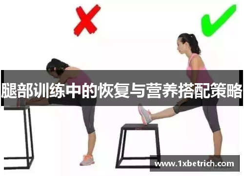 腿部训练中的恢复与营养搭配策略